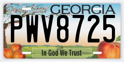 GA license plate PWV8725