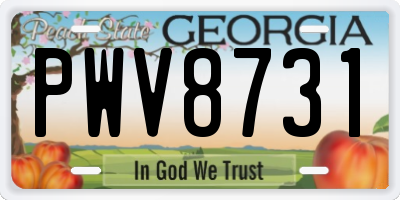 GA license plate PWV8731