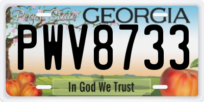 GA license plate PWV8733