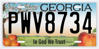 GA license plate PWV8734
