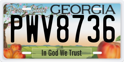 GA license plate PWV8736