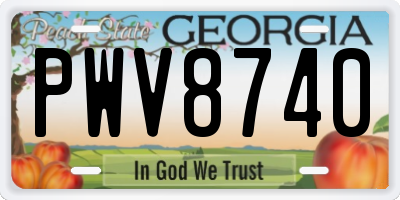 GA license plate PWV8740