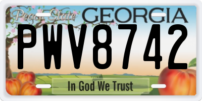 GA license plate PWV8742