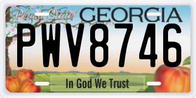 GA license plate PWV8746