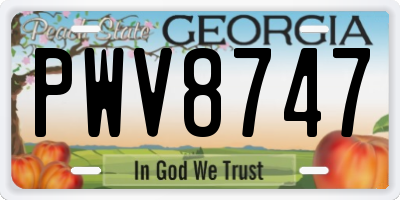 GA license plate PWV8747