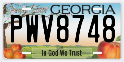 GA license plate PWV8748