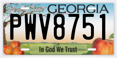 GA license plate PWV8751