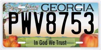 GA license plate PWV8753
