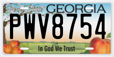 GA license plate PWV8754