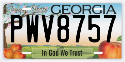 GA license plate PWV8757