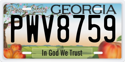 GA license plate PWV8759