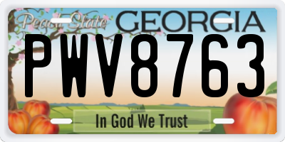 GA license plate PWV8763