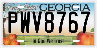GA license plate PWV8767