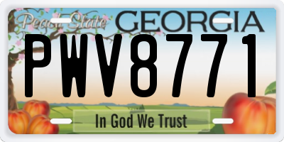 GA license plate PWV8771