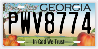 GA license plate PWV8774