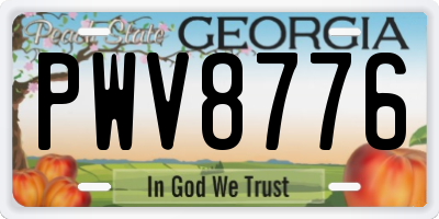 GA license plate PWV8776