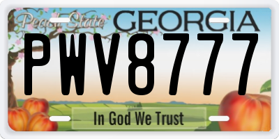 GA license plate PWV8777