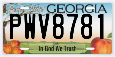GA license plate PWV8781