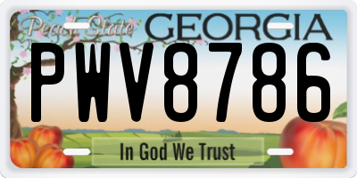 GA license plate PWV8786