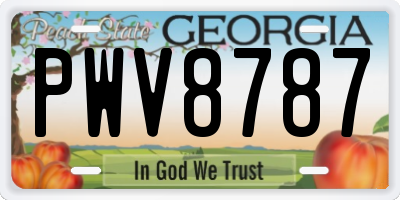 GA license plate PWV8787