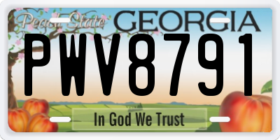 GA license plate PWV8791
