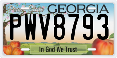 GA license plate PWV8793