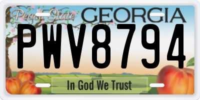 GA license plate PWV8794