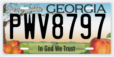 GA license plate PWV8797