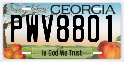 GA license plate PWV8801