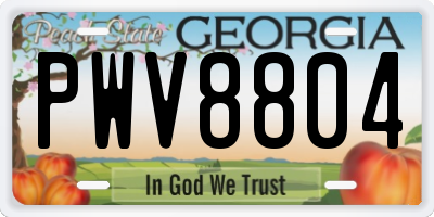 GA license plate PWV8804