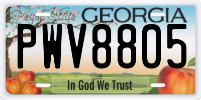 GA license plate PWV8805
