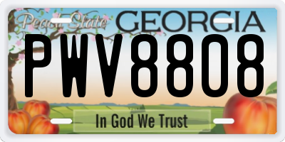 GA license plate PWV8808