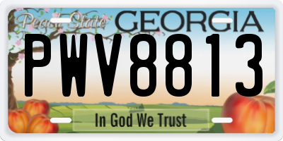 GA license plate PWV8813