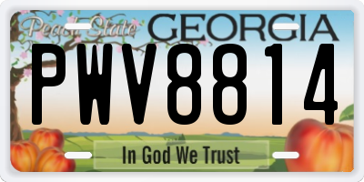 GA license plate PWV8814