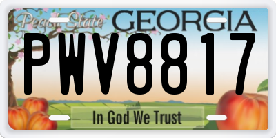 GA license plate PWV8817