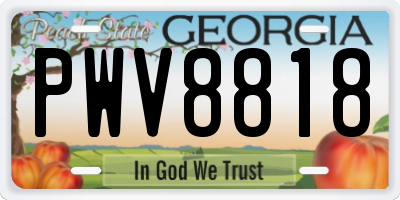 GA license plate PWV8818