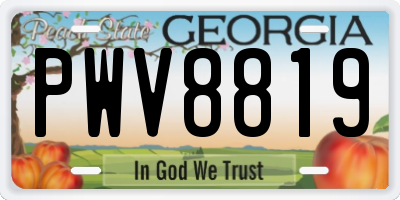 GA license plate PWV8819
