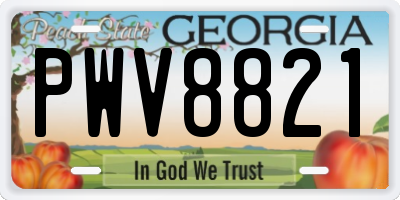 GA license plate PWV8821
