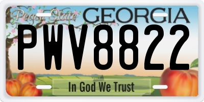 GA license plate PWV8822