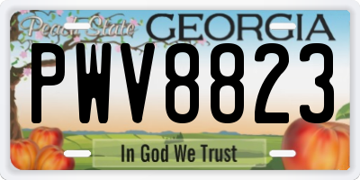 GA license plate PWV8823