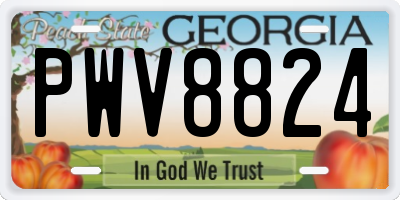 GA license plate PWV8824