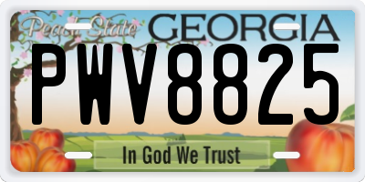 GA license plate PWV8825