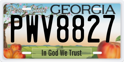 GA license plate PWV8827