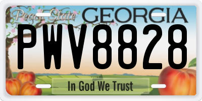 GA license plate PWV8828