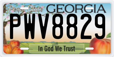 GA license plate PWV8829