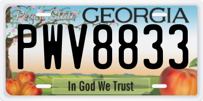 GA license plate PWV8833