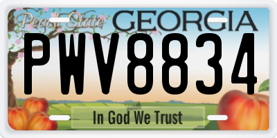 GA license plate PWV8834