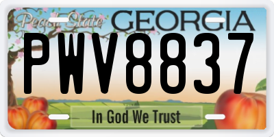 GA license plate PWV8837