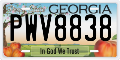 GA license plate PWV8838