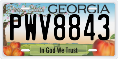GA license plate PWV8843